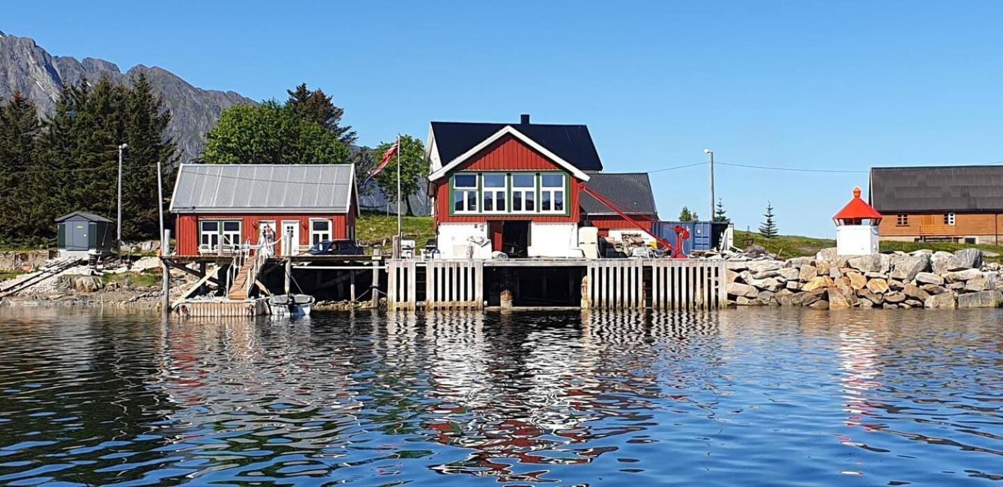 Arctic Lofoten Mini Retreat - Enjoy The Silence! Vestvagoy ภายนอก รูปภาพ